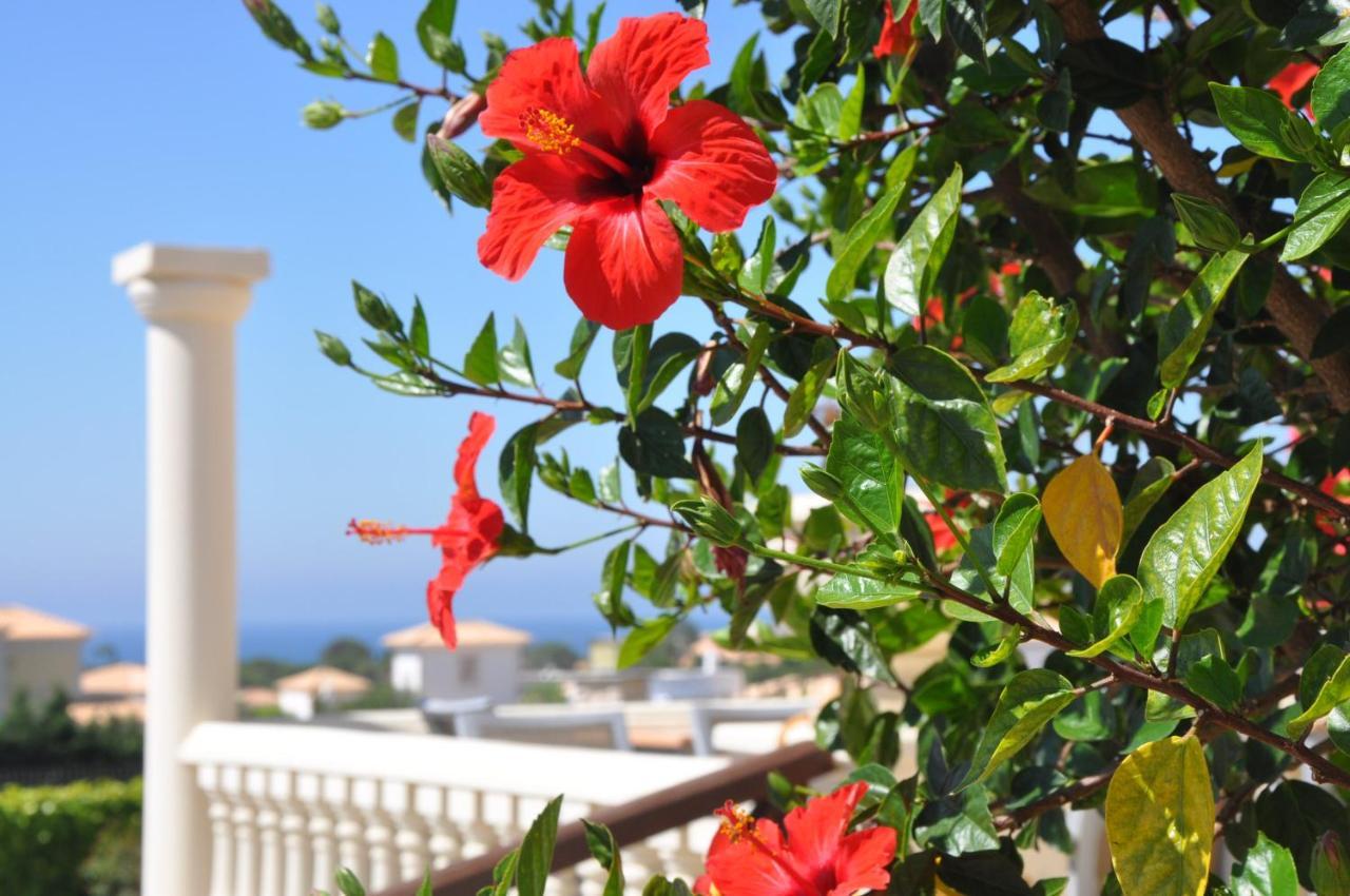 Ponta Grande Sao Rafael Resort By Umbral Αλμπουφέιρα Εξωτερικό φωτογραφία